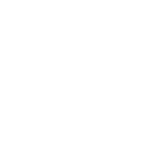logo light